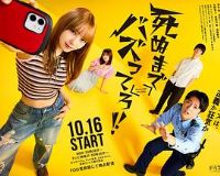 ���쵽���ɣ���