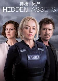 �����ʲ�