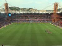 ������� ������VSά���� 20240902