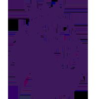 Ӣ�� �ж���vsɣ����20251025