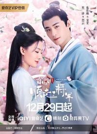 һ��С��˳���˽���