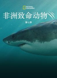 ��������������߼�